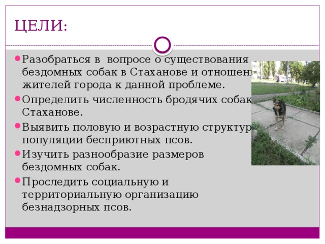 ЦЕЛИ: Разобраться в вопросе о существования бездомных собак в Стаханове и отношении жителей города к данной проблеме. Определить численность бродячих собак в Стаханове. Выявить половую и возрастную структуру популяции бесприютных псов. Изучить разнообразие размеров бездомных собак. Проследить социальную и территориальную организацию безнадзорных псов. 