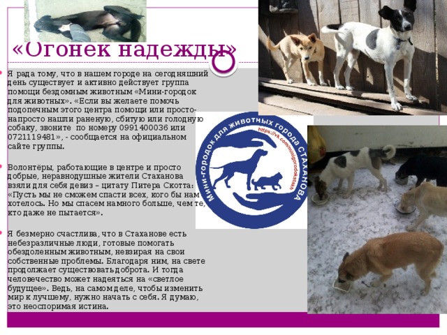 «Огонёк надежды» Я рада тому, что в нашем городе на сегодняшний день существует и активно действует группа помощи бездомным животным «Мини-городок для животных». «Если вы желаете помочь подопечным этого центра помощи или просто-напросто нашли раненую, сбитую или голодную собаку, звоните по номеру 0991400036 или 0721119481», - сообщается на официальном сайте группы.   Волонтёры, работающие в центре и просто добрые, неравнодушные жители Стаханова взяли для себя девиз – цитату Питера Скотта: «Пусть мы не сможем спасти всех, кого бы нам хотелось. Но мы спасем намного больше, чем те, кто даже не пытается». Я безмерно счастлива, что в Стаханове есть небезразличные люди, готовые помогать обездоленным животным, невзирая на свои собственные проблемы. Благодаря ним, на свете продолжает существовать доброта. И тогда человечество может надеяться на «светлое будущее». Ведь, на самом деле, чтобы изменить мир к лучшему, нужно начать с себя. Я думаю, это неоспоримая истина. 