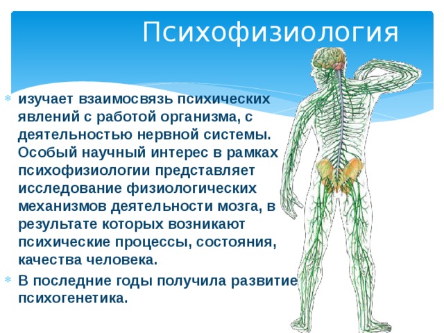 Психофизиология изучает взаимосвязь психических явлений с работой организма, с деятельностью нервной системы. Особый научный интерес в рамках психофизиологии представляет исследование физиологических механизмов деятельности мозга, в результате которых возникают психические процессы, состояния, качества человека. В последние годы получила развитие психогенетика.  