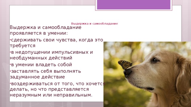 Выдержка и самообладание   Выдержка и самообладание проявляется в умении: сдерживать свои чувства, когда это требуется в недопущении импульсивных и необдуманных действий в умении владеть собой заставлять себя выполнять задуманное действие воздерживаться от того, что хочется делать, но что представляется неразумным или неправильным. 