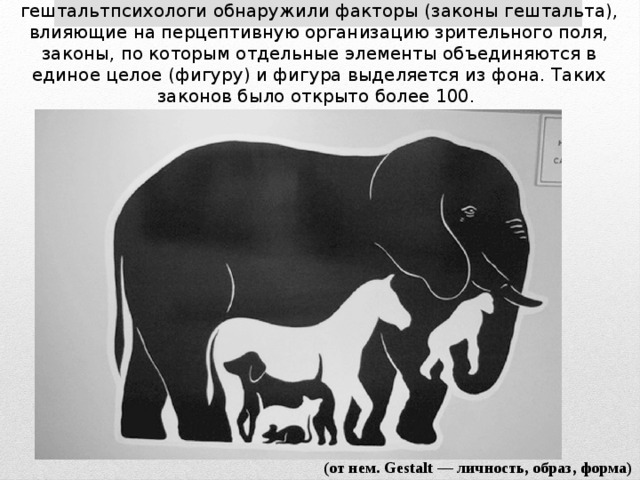 Гештальта законы  гештальтпсихологи обнаружили факторы (законы гештальта), влияющие на перцептивную организацию зрительного поля, законы, по которым отдельные элементы объединяются в единое целое (фигуру) и фигура выделяется из фона. Таких законов было открыто более 100. (от нем. Gestalt — личность, образ, форма) 
