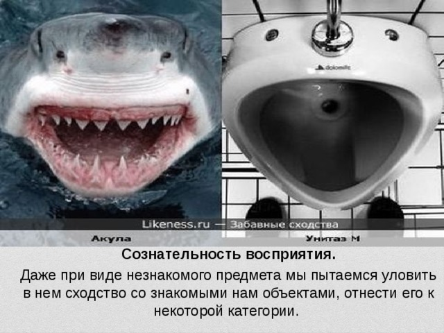 Сознательность восприятия. Даже при виде незнакомого предмета мы пытаемся уловить в нем сходство со знакомыми нам объектами, отнести его к некоторой категории. 