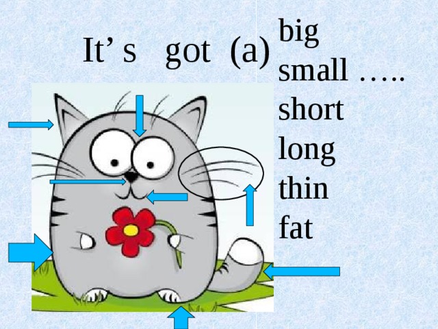 Карточки opposites. Long thin big fat short. Long thin big fat short. Tall short. Long short.