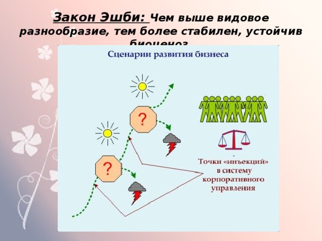 Закон Эшби: Чем выше видовое разнообразие, тем более стабилен, устойчив биоценоз 