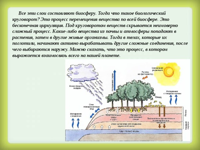 Биологический круговорот почва 6 класс презентация