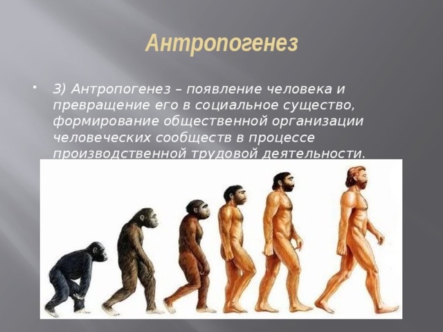 Антропогенез 3) Антропогенез – появление человека и превращение его в социальное существо, формирование общественной организации человеческих сообществ в процессе производственной трудовой деятельности. Начало этапа – 1,5–3 млн. лет назад (появление человека). 
