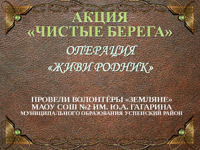                              ПРОВЕЛИ ВОЛОНТЁРЫ «ЗЕМЛЯНЕ» МАОУ СОШ №2 ИМ. Ю.А. ГАГАРИНА МУНИЦИПАЛЬНОГО ОБРАЗОВАНИЯ УСПЕНСКИЙ РАЙОН   