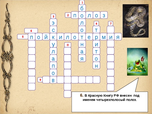 Кроссворд по земноводным 7 класс с ответами