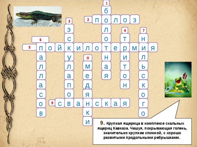 Кроссворд по земноводным 7 класс с ответами. Кроссворд земноводные. Кроссворд по земноводным. Кроссворд на тему земноводные. Кроссворд про земноводных.