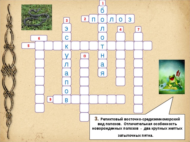 Вопросы по земноводным 7 класс с ответами. Кроссворд земноводные. Rhjcdjhl GJ ptyvyjdjlysv b ghtcvsrf.obvcz. Кроссворд человек амфибия. Человек амфибия сканворд 30 слов.