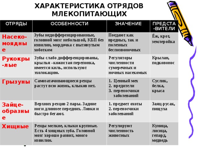 Характеристика представителя