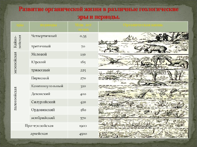 Укажите название периода. Название периода рисования. Каменноугольный период в Ростовской области. Каменноугольный Пермский меловой. Каменноугольный ,орвинский,меловой.