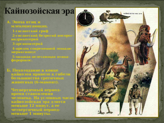 Возникновение первых птиц эра. Динозавры кайнозойской эры. Фороракос Эра и период. Нелетающие птицы кайнозоя. Носороги кайнозойской эры.