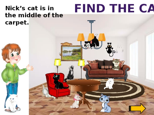 Find the cat Nick’s cat is in the middle of the carpet.