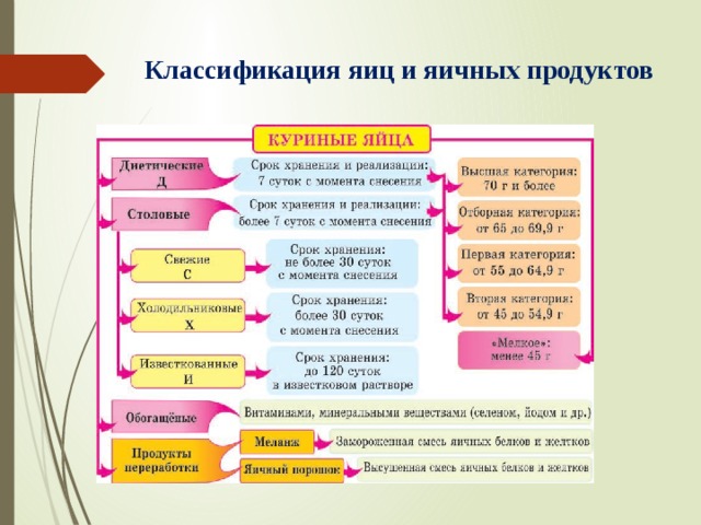 Презентация яйца и яичные продукты товароведение