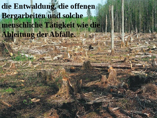 die Entwaldung, die offenen Bergarbeiten und solche menschliche Tätigkeit wie die Ableitung der Abfälle. 
