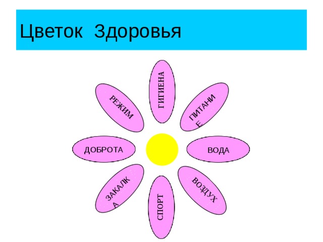 Цветок здоровья картинки