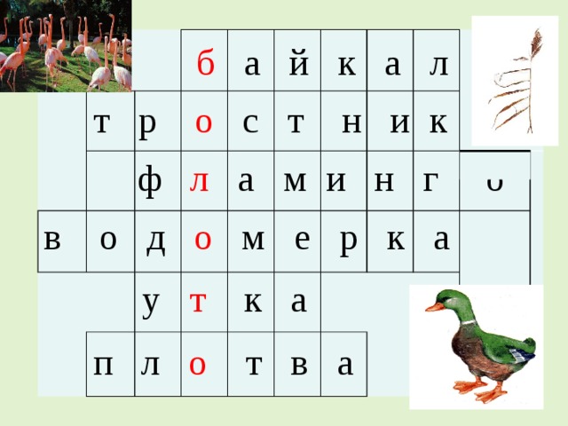 Болото сканворд. Кроссворд по теме природные сообщества. Кроссворд на тему природные сообщества. Кроссворд природное сообщество. Кроссворд по биологии по теме природные сообщества.