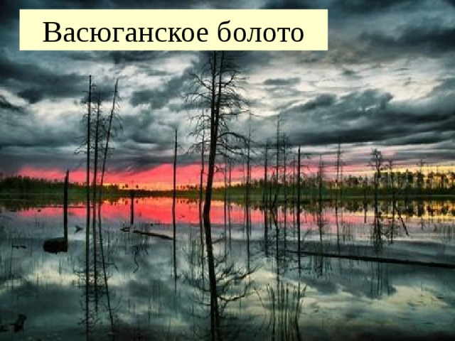 Карта васюганское болото