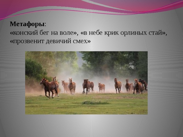 Метафоры :  «конский бег на воле», «в небе крик орлиных стай», «прозвенит девичий смех» метафоры : конский бег на воле», «в небе крик орлиных стай», «прозвенит девичий смех»  