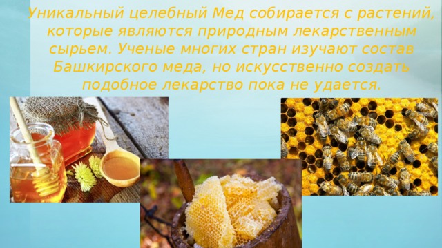 Уникальный целебный Мед собирается с растений, которые являются природным лекарственным сырьем. Ученые многих стран изучают состав Башкирского меда, но искусственно создать подобное лекарство пока не удается. 