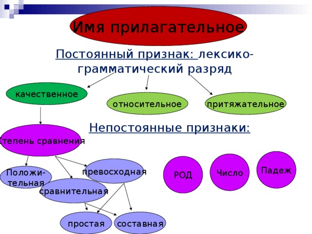 Грамматические признаки прилагательного