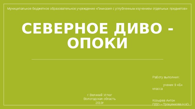 Муниципальное бюджетное образовательное учреждение «Гимназия с углубленным изучением отдельных предметов» Северное Диво - ОПОКИ Работу выполнил: ученик 9 «Б» класса Козырев Антон ПДО – Трощенкова Н.Ю. г. Великий Устюг Вологодская область 2019г 