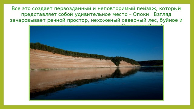 Все это создает первозданный и неповторимый пейзаж, который представляет собой удивительное место – Опоки. Взгляд зачаровывает речной простор, нехоженый северный лес, буйное и немятое разнотравье - настоящее Северное Диво! 