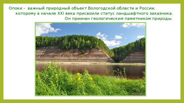 Опоки - важный природный объект Вологодской области и России, которому в начале XXI века присвоили статус ландшафтного заказника. Он признан геологическим памятником природы. 