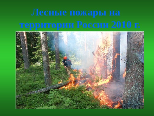  Лесные пожары на территории России 2010 г. 