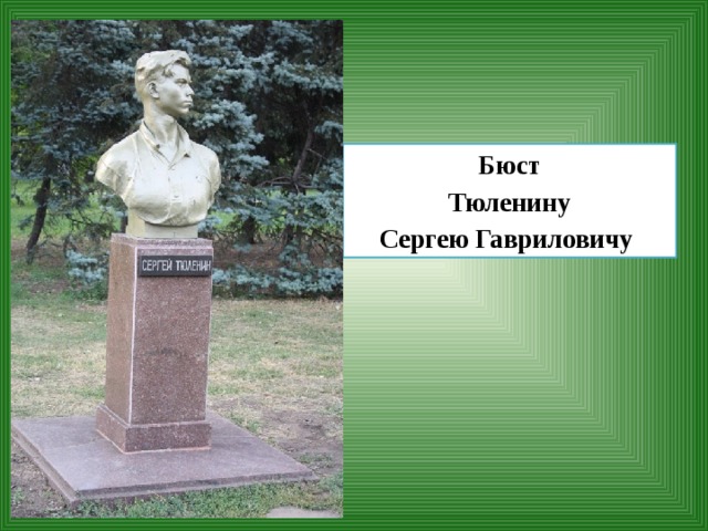 Подвиг сергея тюленина. Тюленин бюст.