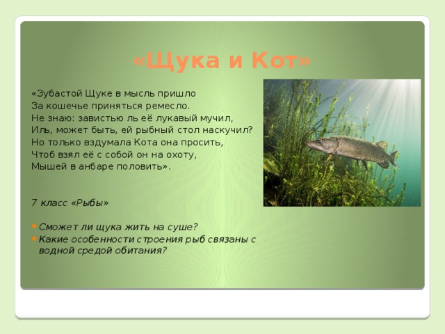 Щука и кот басня
