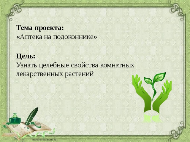 Тема проекта:  «Аптека на подоконнике» Цель: Узнать целебные свойства комнатных лекарственных растений 