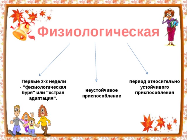 Физиологическая  Первые 2-3 недели - 