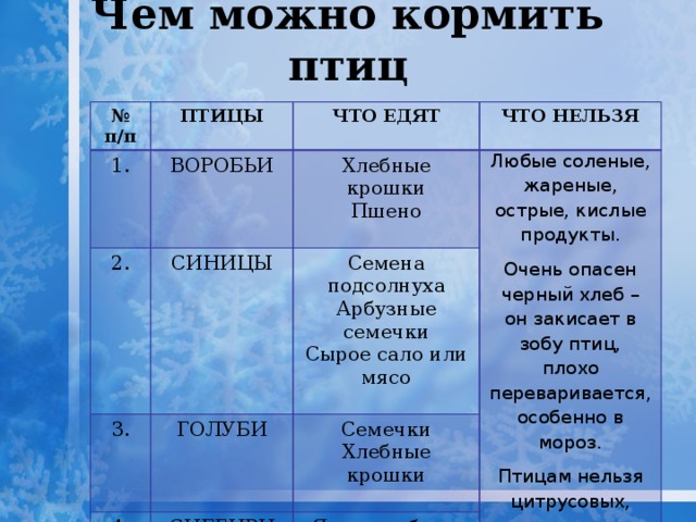 Чем можно кормить птиц. Почему птицам нельзя давать черный хлеб. Почему птицам нельзя хлеб. Почему нельзя кормить птиц. Почему нельзя кормить птиц хлебом.