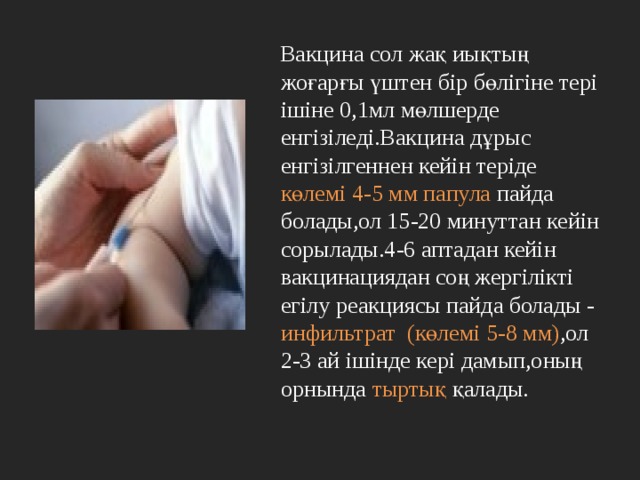  Вакцина сол жақ иықтың жоғарғы үштен бір бөлігіне тері ішіне 0,1мл мөлшерде енгізіледі.Вакцина дұрыс енгізілгеннен кейін теріде көлемі 4-5 мм папула пайда  болады,ол 15-20 минуттан кейін сорылады.4-6 аптадан кейін вакцинациядан соң жергілікті егілу реакциясы пайда болады -  инфильтрат  (көлемі 5-8 мм) ,ол 2-3 ай ішінде кері дамып,оның орнында тыртық қалады. 