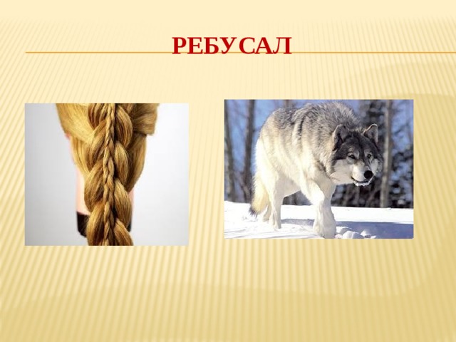 РЕБУСАЛ 