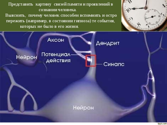 и. Представить картину связей памяти и проявлений в сознании человека.  Выяснить, почему человек способен вспомнить и остро пережить (например, в состоянии гипноза) те события, которых не было в его жизни. 