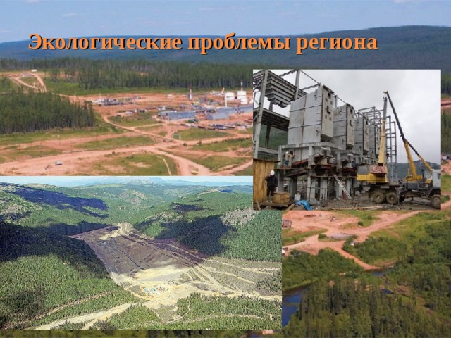 Экологические проблемы региона 