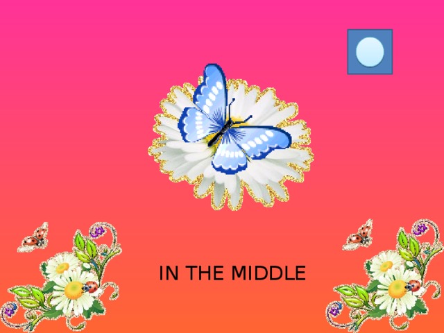  IN THE MIDDLE 