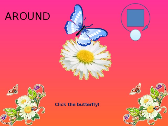 AROUND Click the butterfly! 