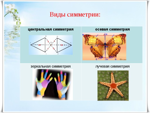 Виды симметрии с картинками