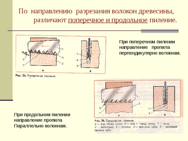 По направлению разрезания волокон древесины,  различают поперечное и продольное пиление.  При поперечном пилении  направление пропила  перпендикулярно волокнам. При продольном пилении направление пропила Параллельно волокнам.