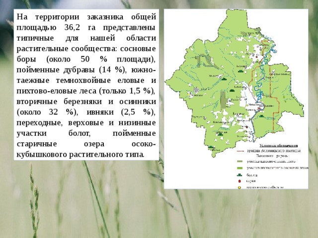 Презентация варнавинский заповедник