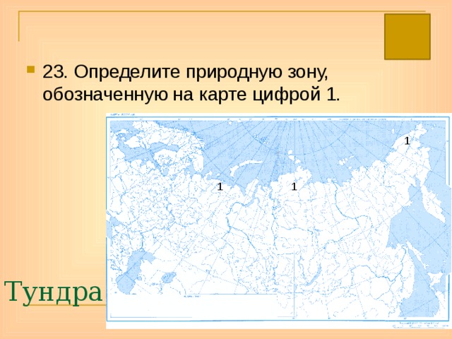 23. Определите природную зону, обозначенную на карте цифрой 1. 1 1 1 Тундра 