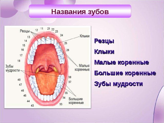 Название и расположение