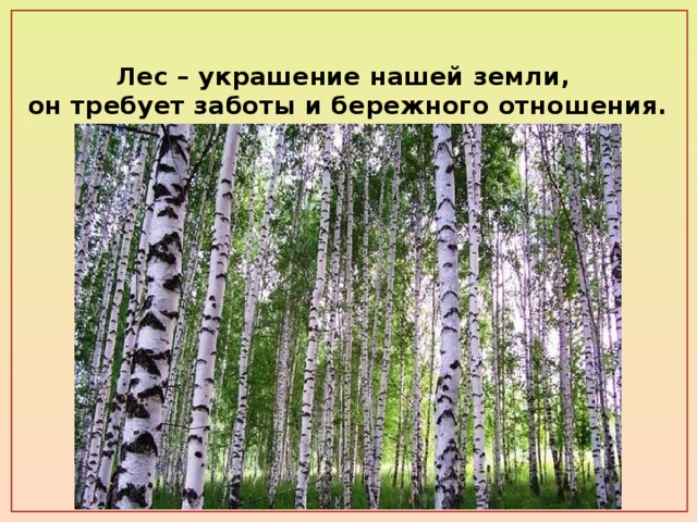 Лес – украшение нашей земли,  он требует заботы и бережного отношения. 