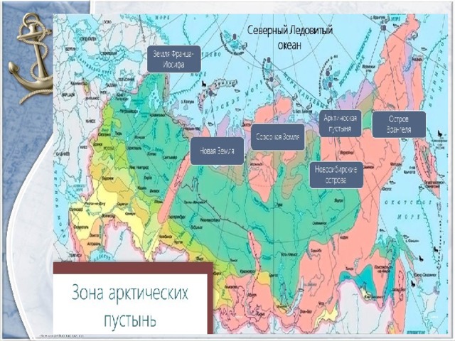 Зона арктических пустынь карта