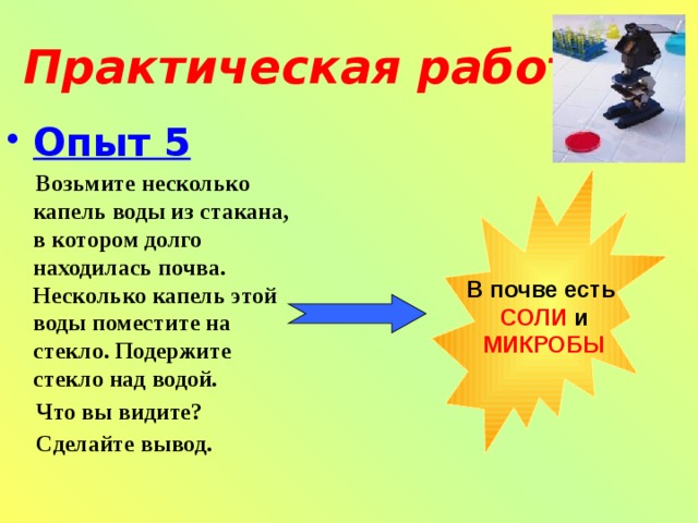 Практическая работа Опыт 5   Возьмите несколько капель воды из стакана, в котором долго находилась почва. Несколько капель этой воды поместите на стекло. Подержите стекло над водой.  Что вы видите?  Сделайте вывод.   В почве есть  СОЛИ и  МИКРОБЫ 