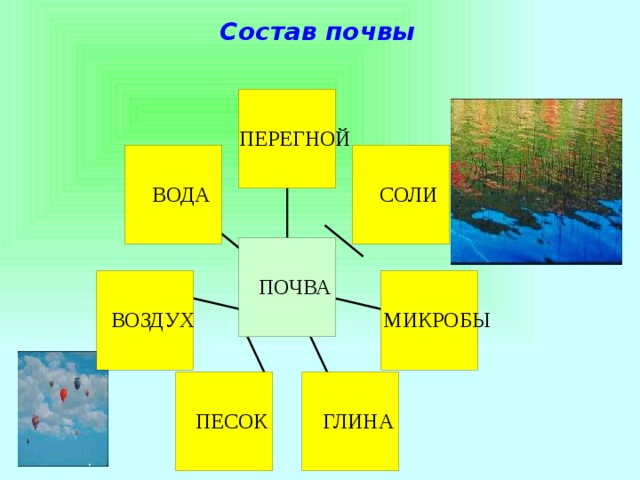 Состав почвы 